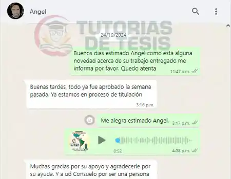 Testimonios de Clientes de Asesoria de Tesis de Grado en Hispanoamerica